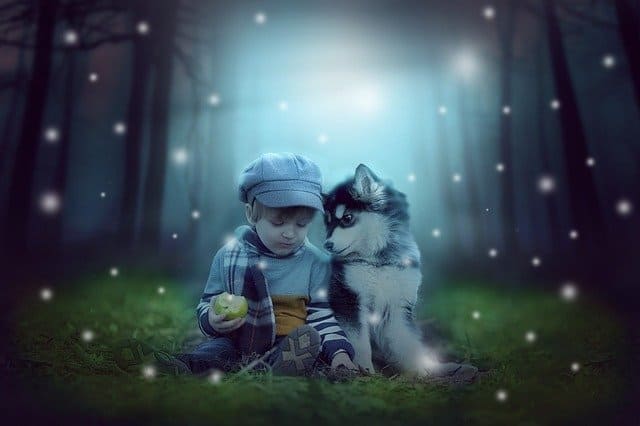baby and dog
